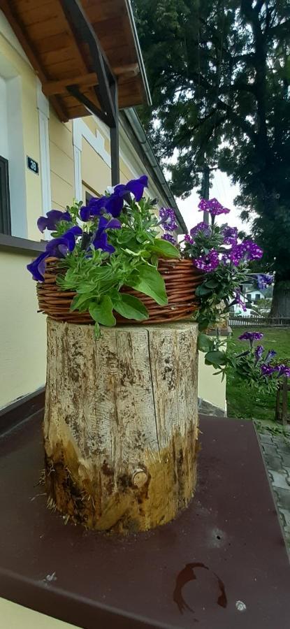 Penzion U Dračí skaly Hotel Svojse Exterior foto